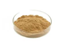 Natural Shiitake Mushroom Extract