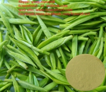 Green Tea Extract(Polyphenol 98%,Catechins 80%,EGCG 70%,Caffeine 0.5%)/CAS 989-51-5