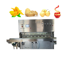 Commercial Fruit Peeling and Cutting Machine: Mango Apple Pear Taro Papaya Lemon Skin Remover