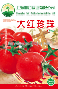 Red Cherry Tomato Seeds For Growing-Big Red Pearl