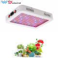 600W Indoor Plant LED Grow Light