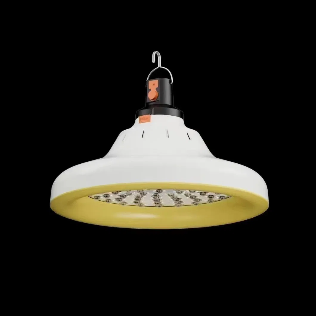 Portable Rechargeable LED Light Bulb for Power Failures