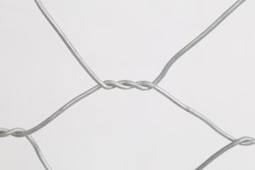 stainless steel hexagonal wire netting/ hexagonal wire mesh/chicken wire mesh