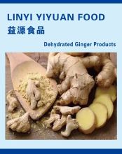 Direct Selling Natural Vegetable Products Ginger Slices
