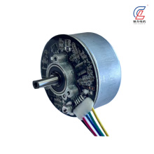 Precision Brushless DC Stepper Motor