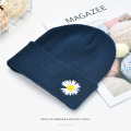 Winter Hats Fbaric embroidery Cute Girls Autumn