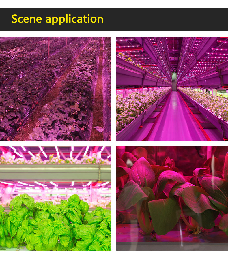 LED grow light LED grow light