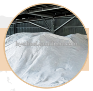 Pure Magnesite power