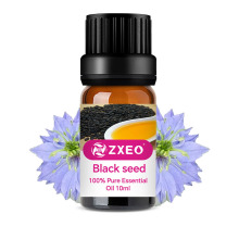 Wholesale 100%  Pure Black Seed Oil  Cold Pressed Nigella Sativa Aids Black seed carrier oil for health products