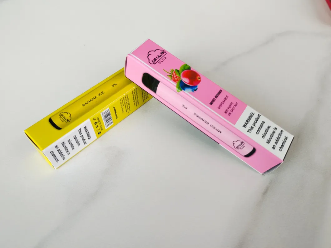 2021 Best Seller 1000 Puffs Disposable Vape Pen with 20 Flavors