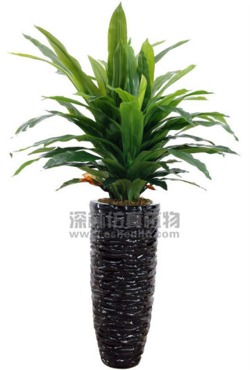 artificial brazillian tree plant
