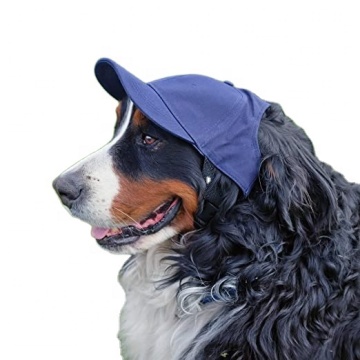 Pet Baseball Hat Small large size dog hats