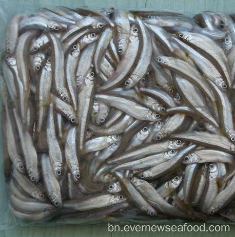 হিমায়িত সীফুড পুকুরের গন্ধ