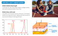 Czerwona terapia podczerwieni urządzenie pochodni 630 nm 660nm 850 nm