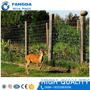 Galvanized iron deer wire mesh fence