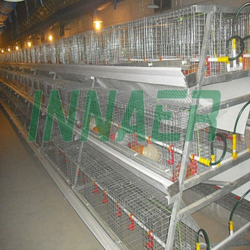 Factory supply high quality broiler cages for growing broiler chicken