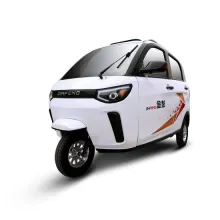 Enclosed Electric Tricycle for Adults - Closed Body Passenger Trike
