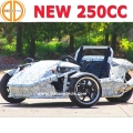 Bode kvalitetssäkrade Ztr Trike Roadster 250cc för försäljning f.Kr.