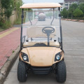 Buen precio 2 asientos venta de karts de golf baratos