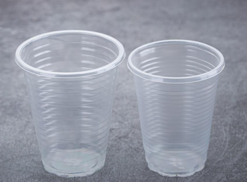 Clear PP Disposable Cup