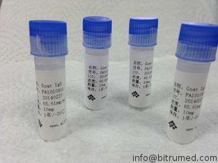 anti - theophylline Custom Monoclonal Antibody Mouse Mab Hi