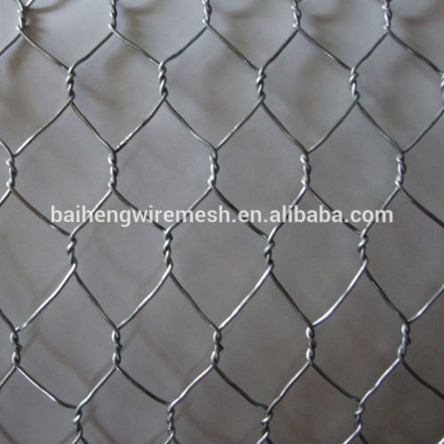 hot dipped galvanized hex. wire mesh