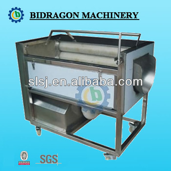 Radish Washing & Polishing Machine