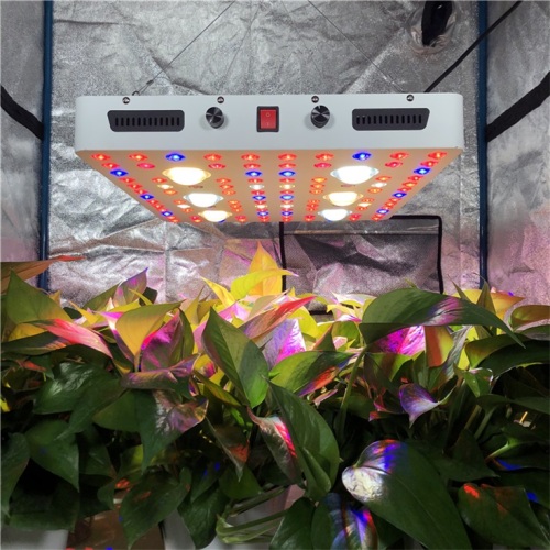 Luminaria de cultivo LED COB regulable de 600 vatios CXB3590