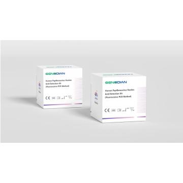 Human Papillomavirus Kit Dekteksi Asam Nukleat (2+5+9)