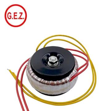 Customiezd Toroidal Transformer 800W 500W 300W