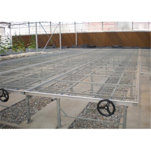 Agriculture Seed Bed for Vegetable Greenhouse