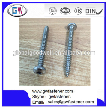 316 Stainless Steel Self Tapping Screws