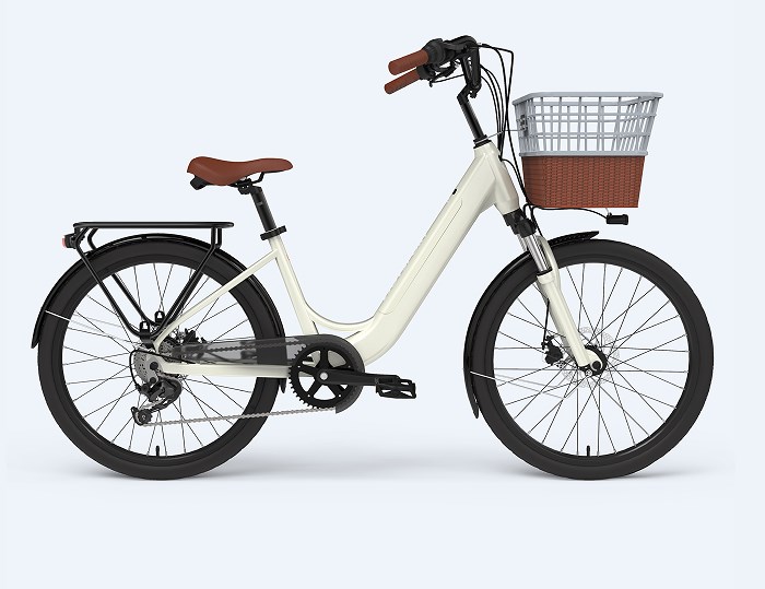 Ebike 2 Seater