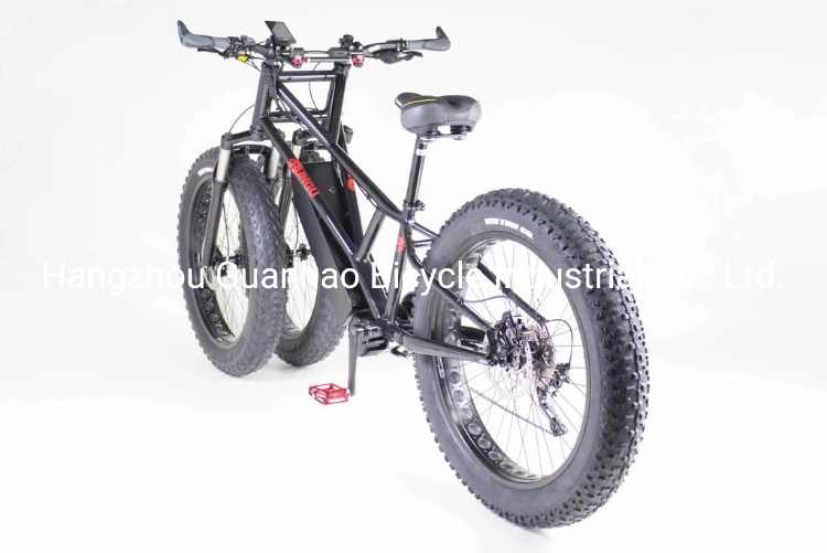 Electric Juggernaut Mdv Series 1000W Middle Motor 60V 17ah OEM/ODM Fat Tire Three Wheels Electric Bike