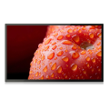 43&#39;&#39; Indoor Digital Signage Android Tablet PC