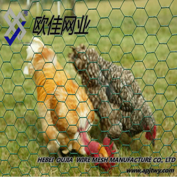Factory price of Hexagon wire netting,chicken mesh