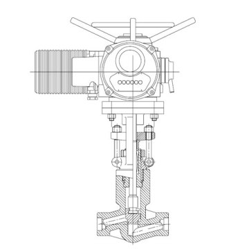 Electric Actuated Globe Valve