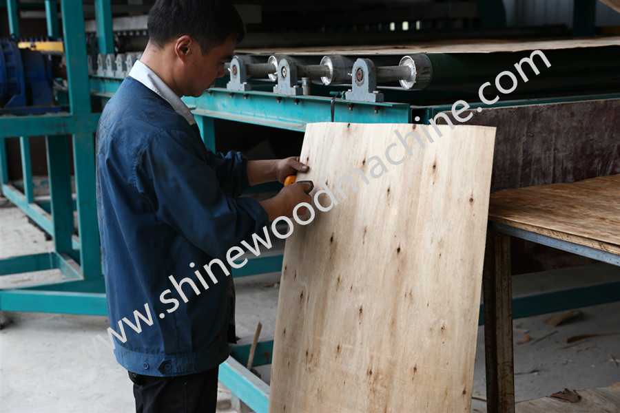 Biomass Veneer Dryer