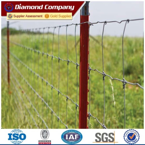 OA payment term cheap cattle panels field fence hog panels farm guard fence goat fence