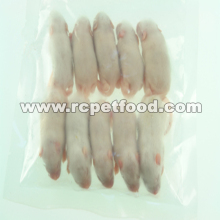 Frozen small white mice