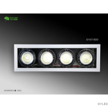 LED Indoor Grill Down Light (GY5718DD)