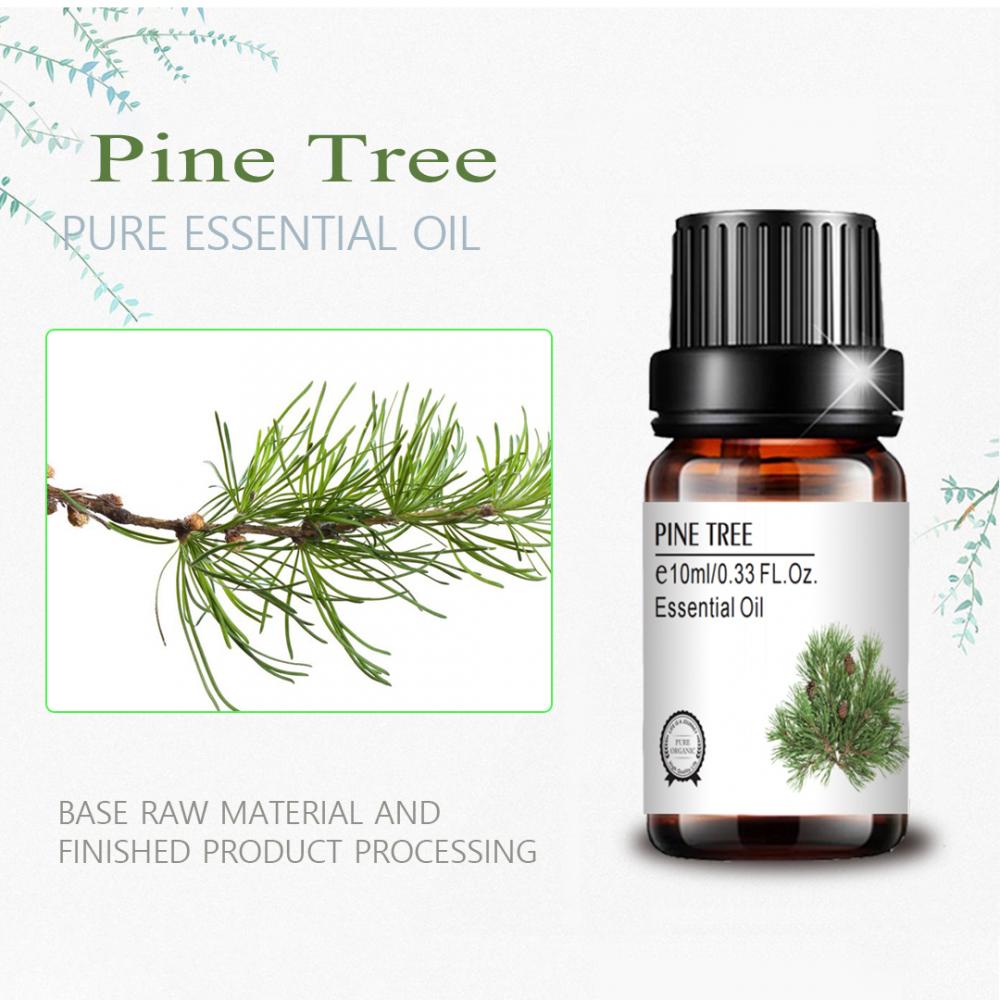 Wholesale 10ML Pine tree Essential Oildeodorize sterilize