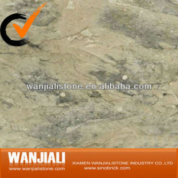 Imported Apollo Marble