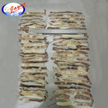 Good Quality Seafood Frozen Peru Giant Squid Wings