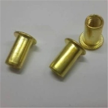 Zink Plate Brass Hollow Buta Rivet Nuts