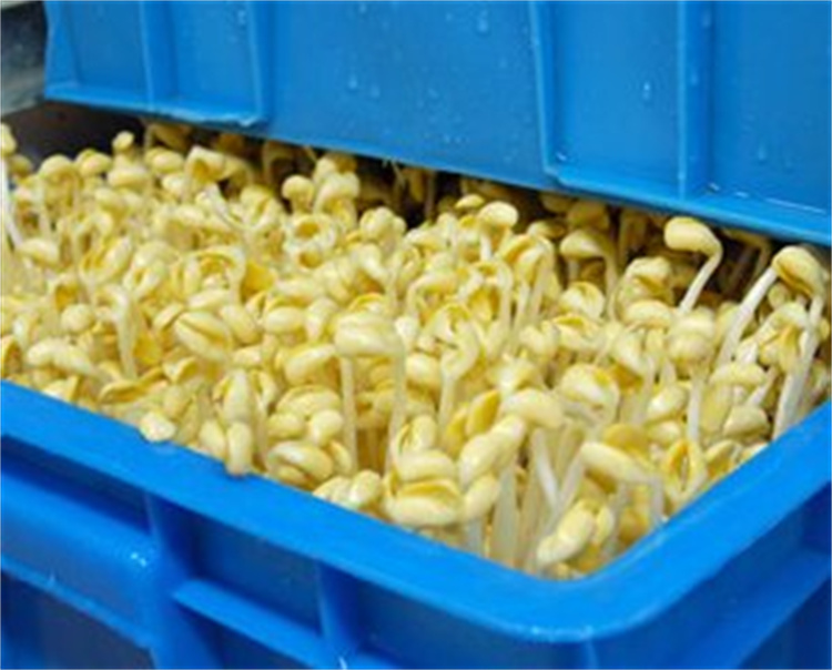 Multi-function hydroponic growing systems greenhouse