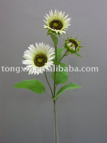 sunflower dried flower (27603F)