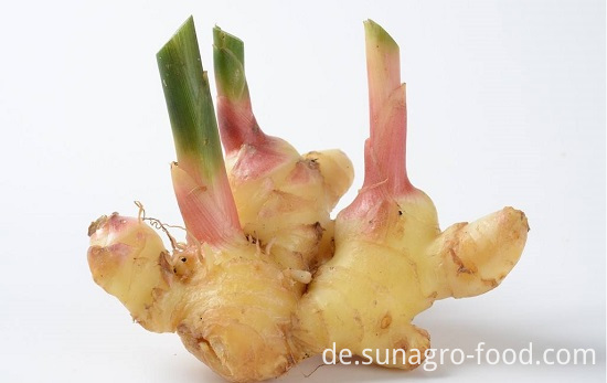 Fresh Mature Ginger