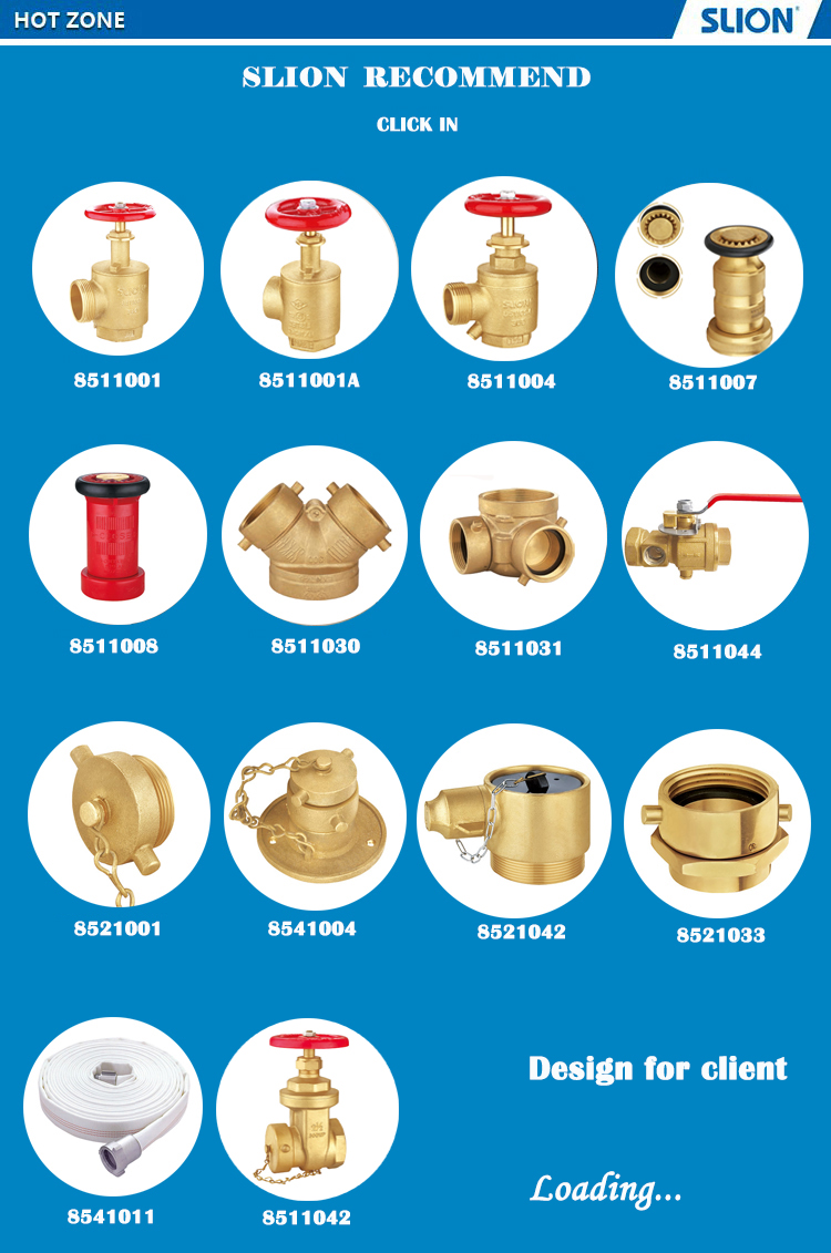 Test & Drain Valves