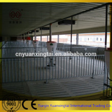 automatic easy cleaning pig fatten cage for pig farm/steel pipe